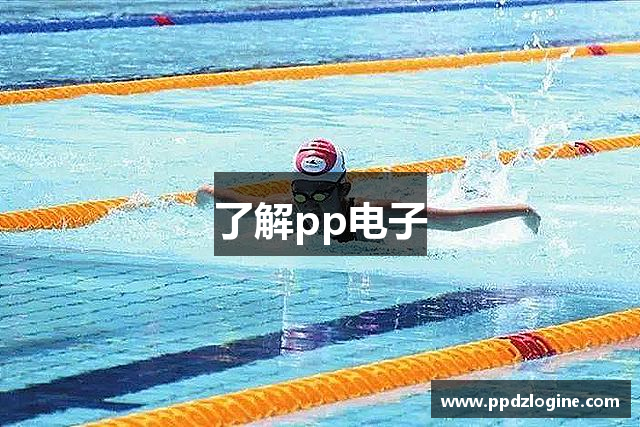 了解pp电子